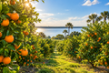 Swamp Candy Orange Blossom